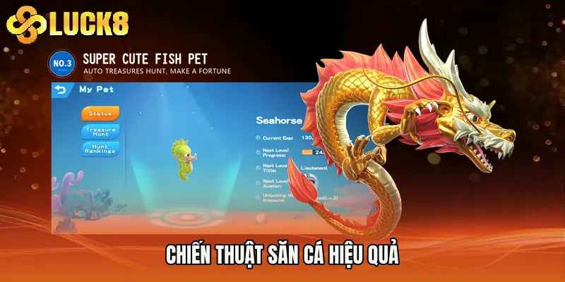 Chiến thuật săn cá hiệu quả